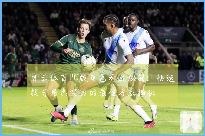 开云体育PC版角色养成秘籍：快速提升角色实力的最佳方法揭秘