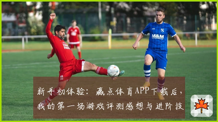 新手初体验：赢点体育APP下载后，我的第一场游戏评测感想与进阶技巧分享
