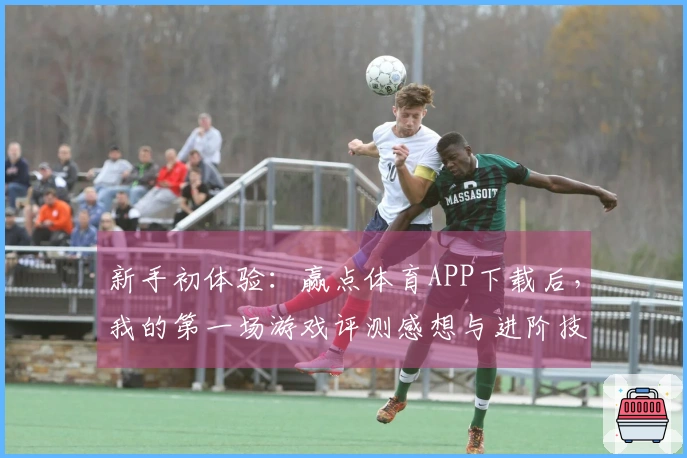 新手初体验：赢点体育APP下载后，我的第一场游戏评测感想与进阶技巧分享