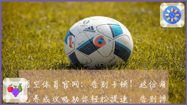 悟空体育官网：告别卡顿！这份角色养成攻略助你轻松提速，告别掉帧烦恼！