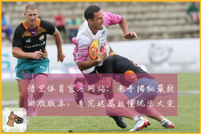 悟空体育官方网站：老手揭秘最新游戏版本，看完这篇就懂玩法大变局